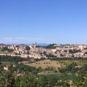 Urbino (58)